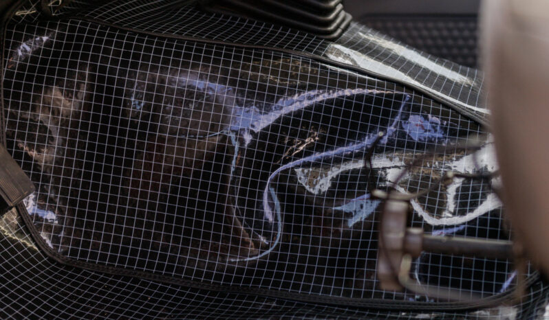 Ford F-4000 – Ano: 2000 – Baú cheio