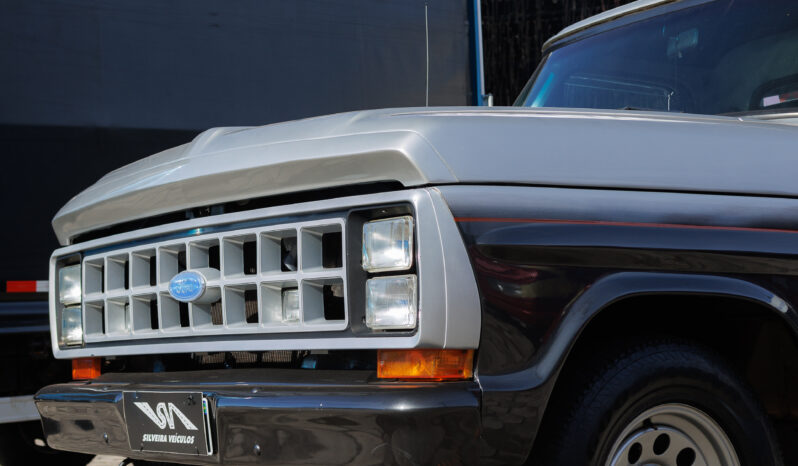 Ford F-1000 – Ano: 1987 – Carroceria – Placa de Colecionador cheio