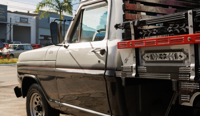 Ford F-1000 – Ano: 1987 – Carroceria – Placa de Colecionador cheio