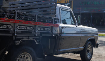 Ford F-1000 – Ano: 1987 – Carroceria – Placa de Colecionador cheio