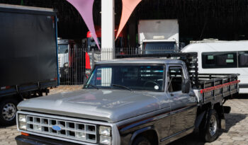 Ford F-1000 – Ano: 1987 – Carroceria – Placa de Colecionador