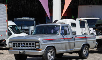 Ford F-1000 – Ano: 1988 – Raridade
