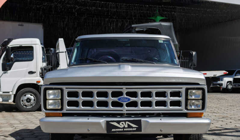 Ford F-1000 – Ano: 1988 – Raridade cheio