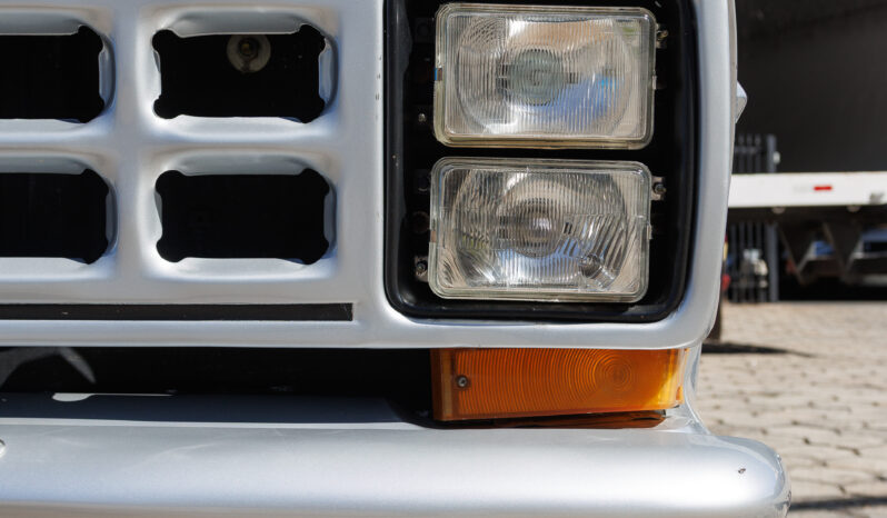 Ford F-1000 – Ano: 1988 – Raridade cheio