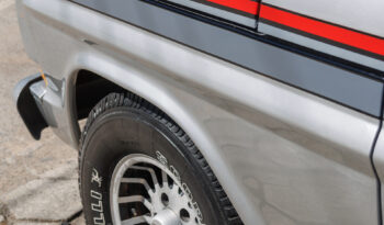 Ford F-1000 – Ano: 1988 – Raridade cheio