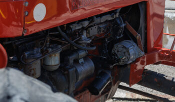 Trator Massey Ferguson 65 X – Ano: 1972 – 4 x 2 cheio
