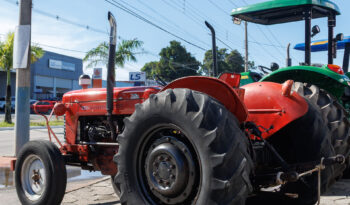 Trator Massey Ferguson 65 X – Ano: 1972 – 4 x 2 cheio