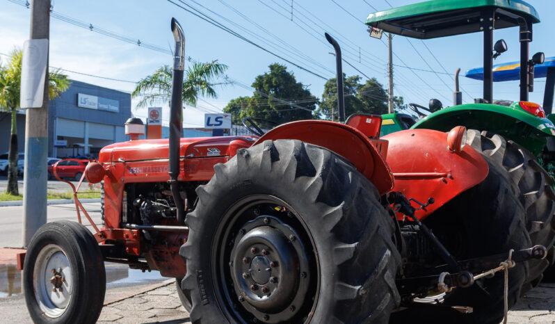 Trator Massey Ferguson 65 X – Ano: 1972 – 4 x 2 cheio
