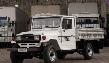 Toyota Bandeirante – Ano: 1995 – Raridade