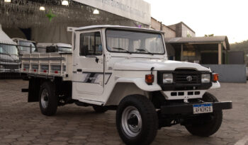 Toyota Bandeirante – Ano: 1995 – Raridade cheio