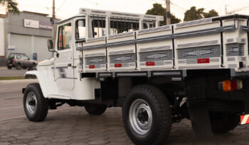 Toyota Bandeirante – Ano: 1995 – Raridade cheio